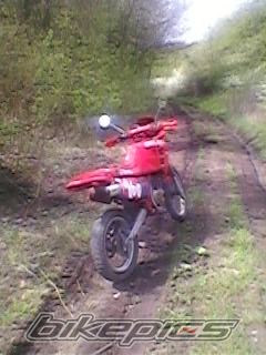 Photo 1954469
