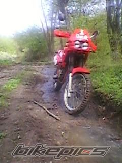 Photo 1954470