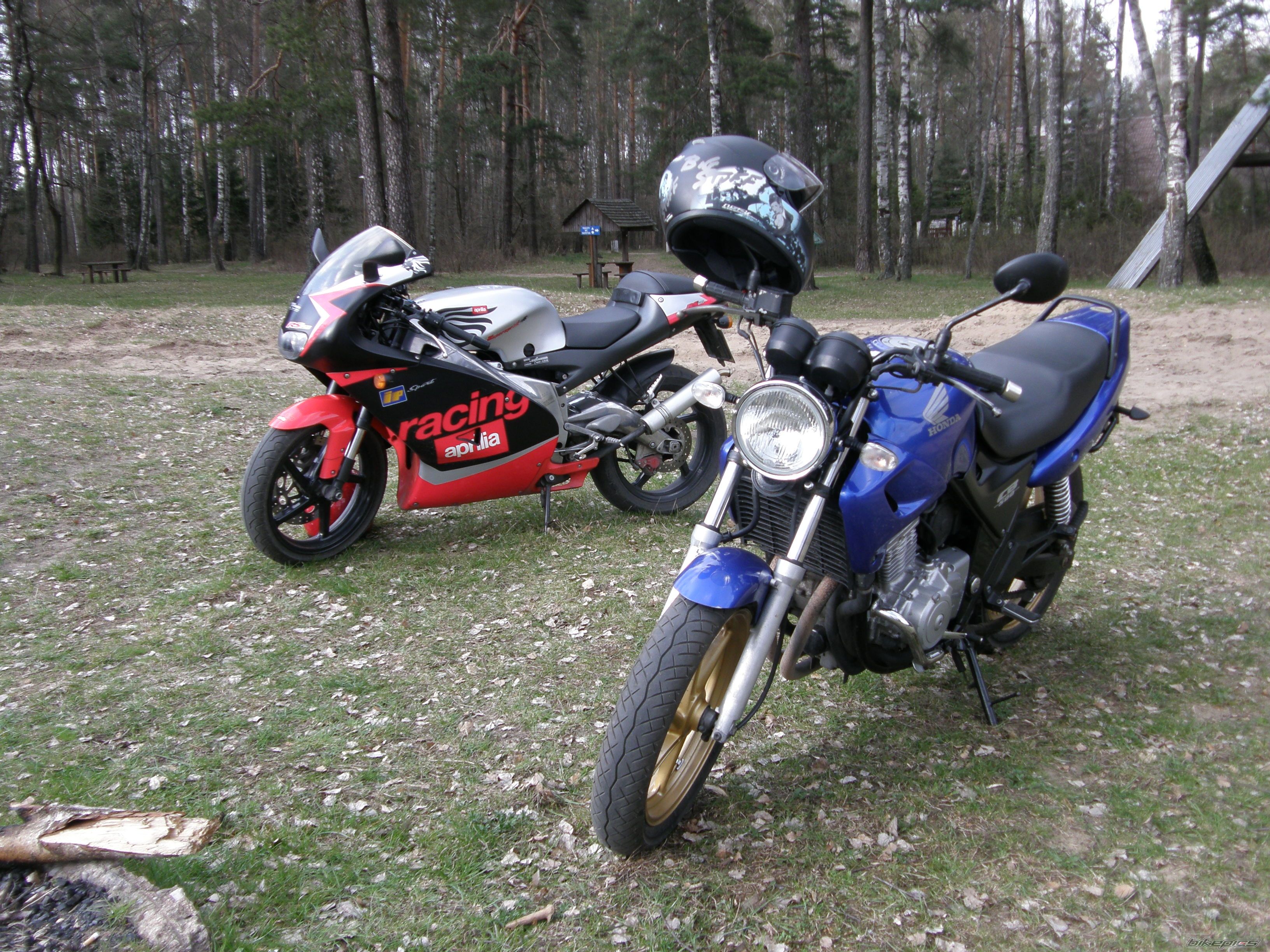 Photo 1954539
