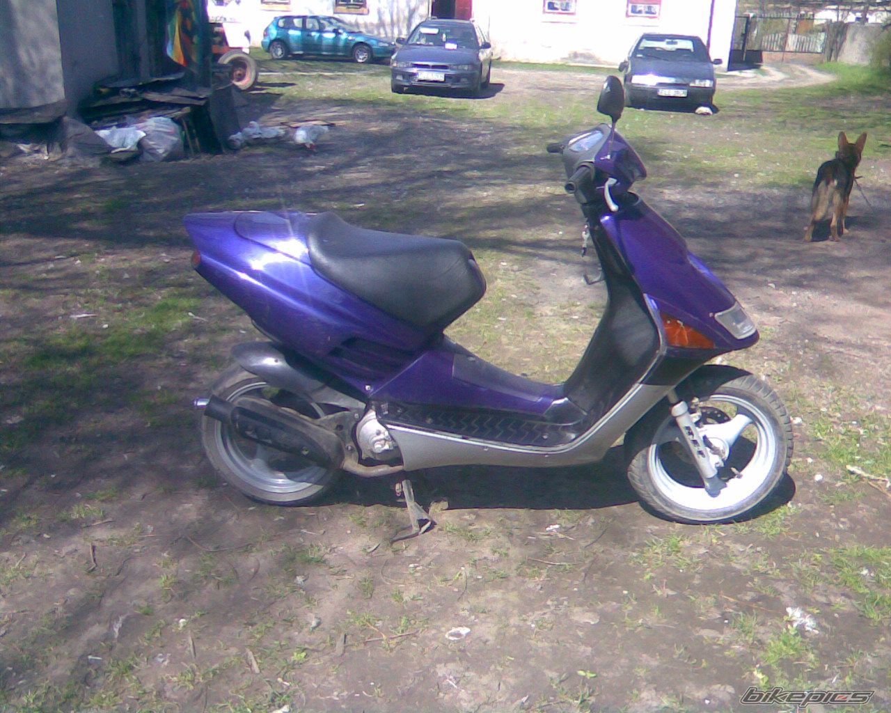 Photo 1954549