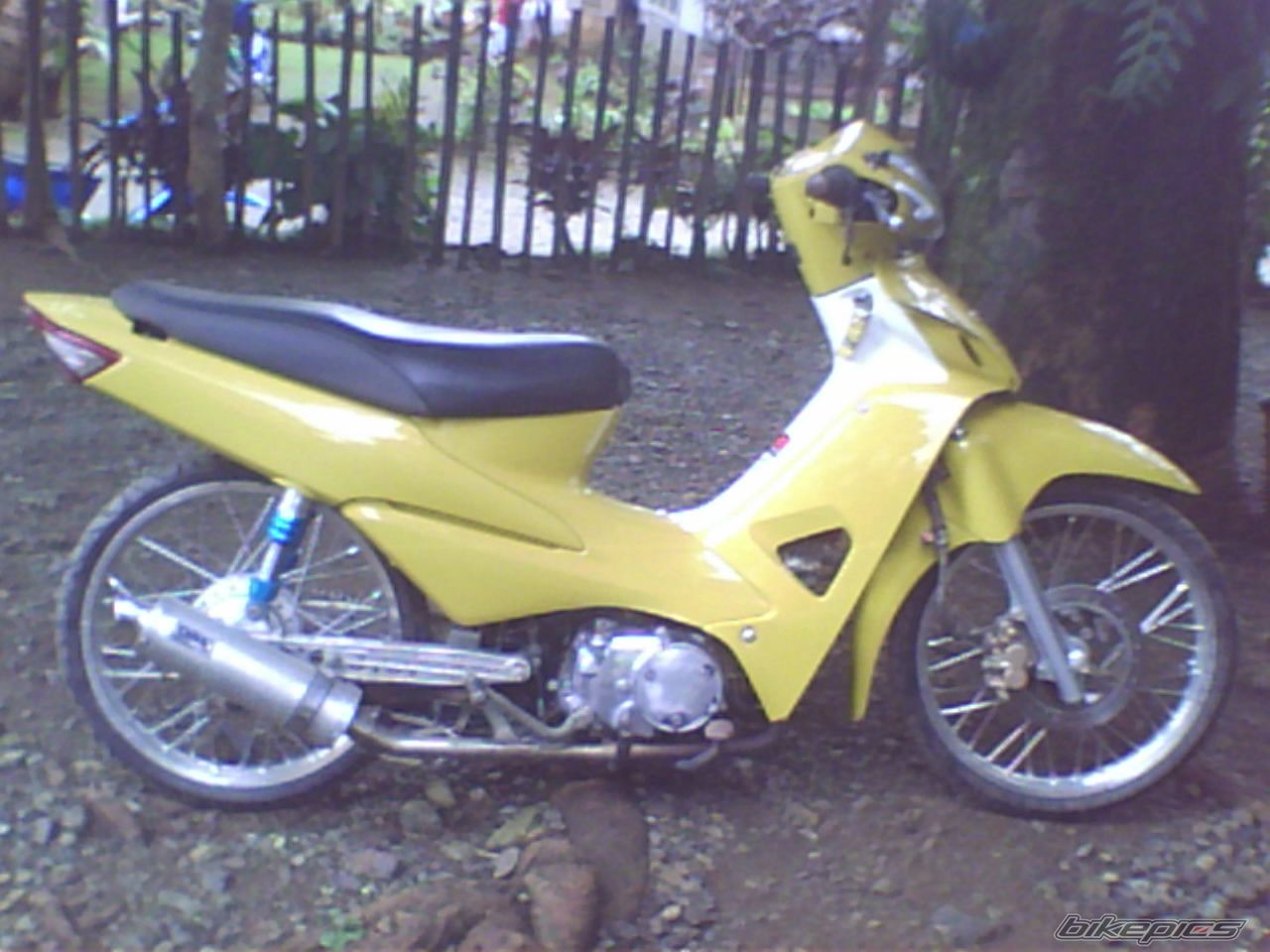 Photo 1954553