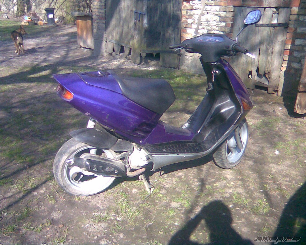 Photo 1954555