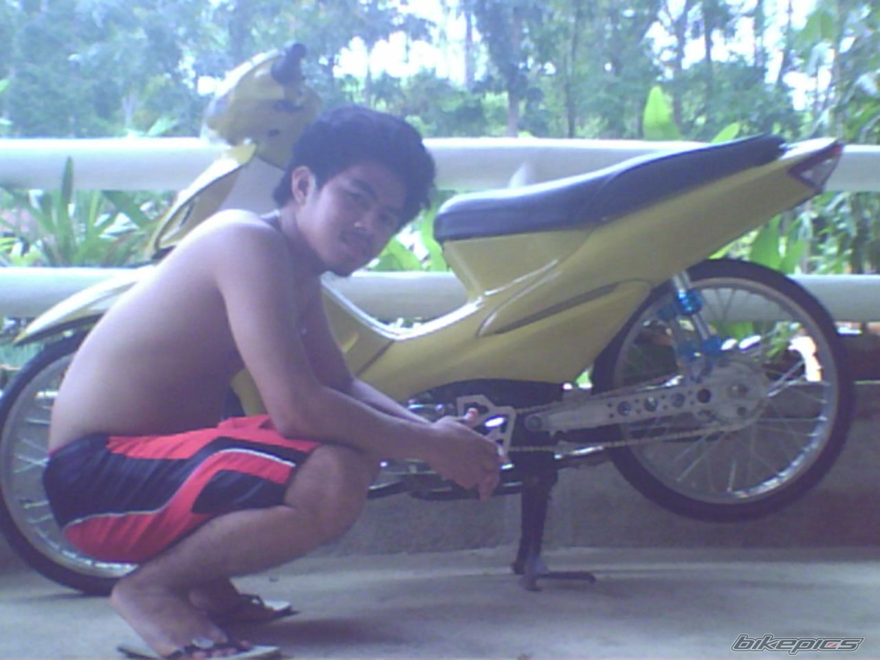 Photo 1954561