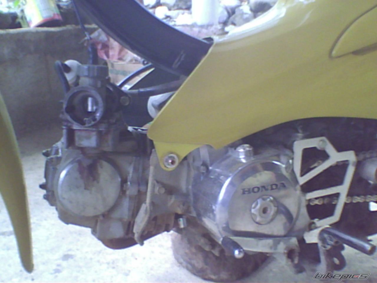 Photo 1954574