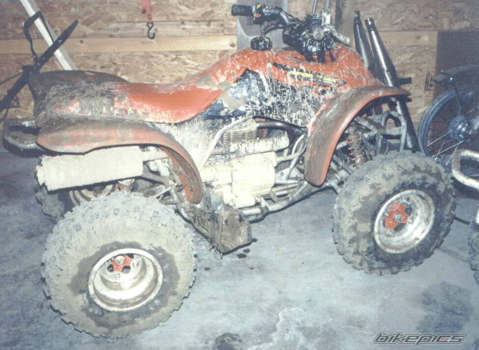 Photo 19546