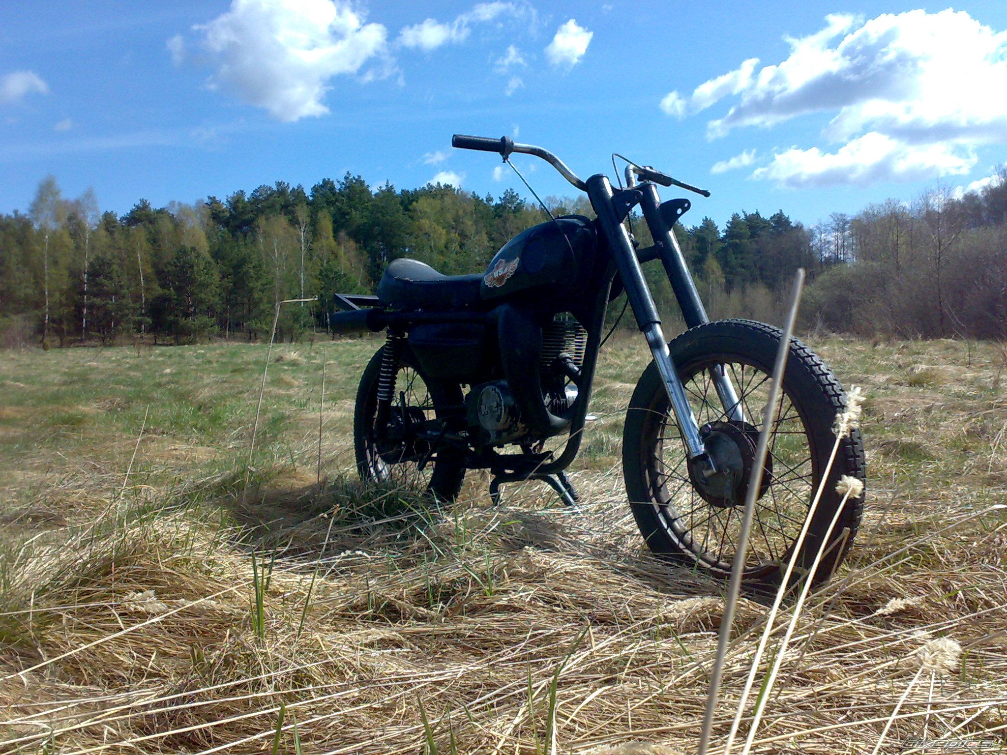 Photo 1954831