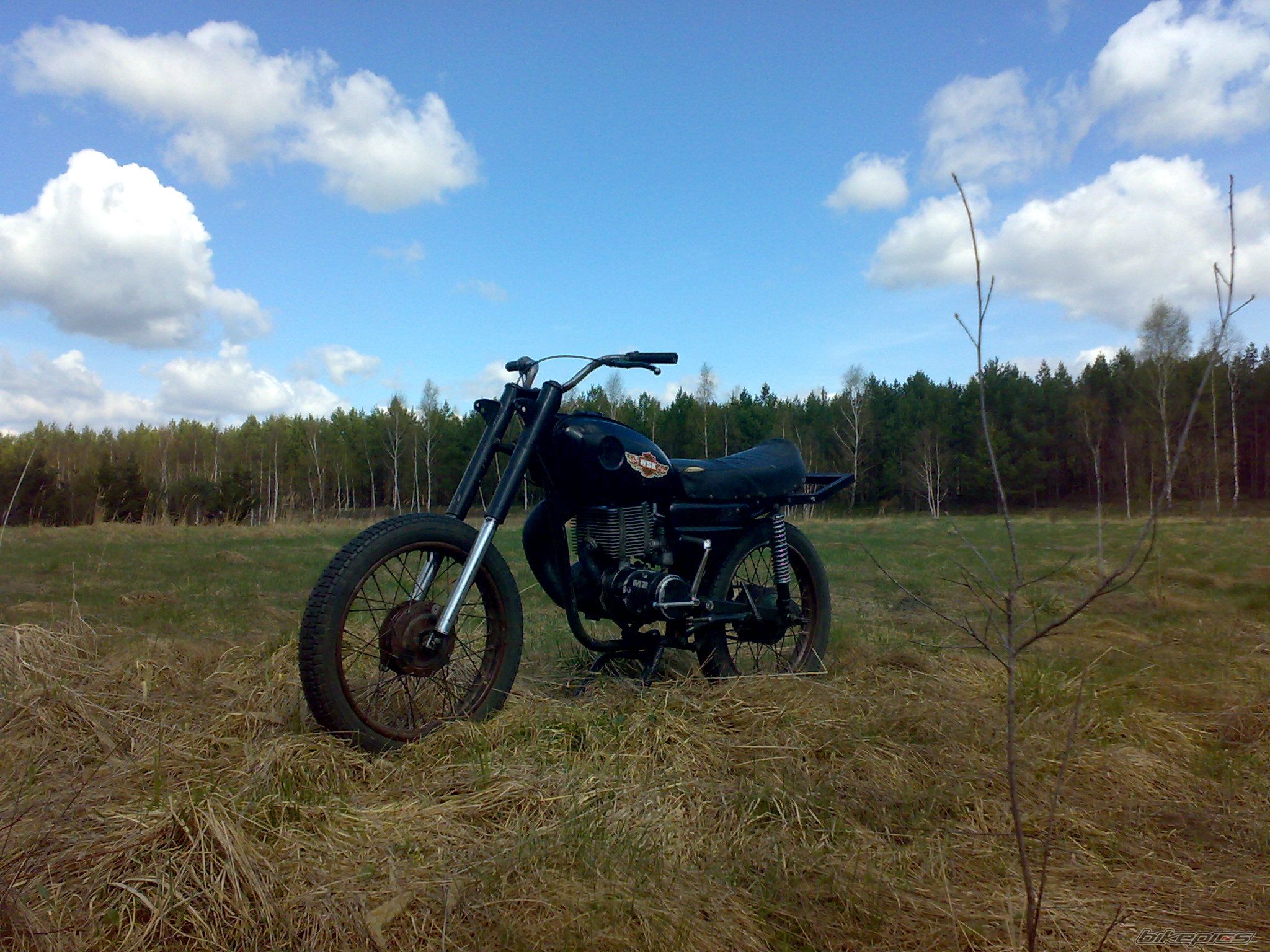 Photo 1954834