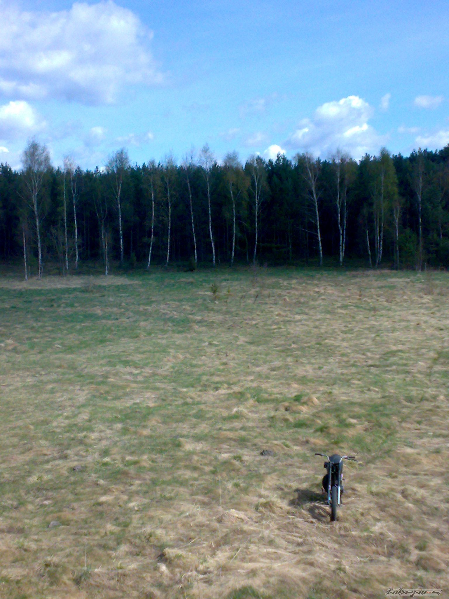 Photo 1954843