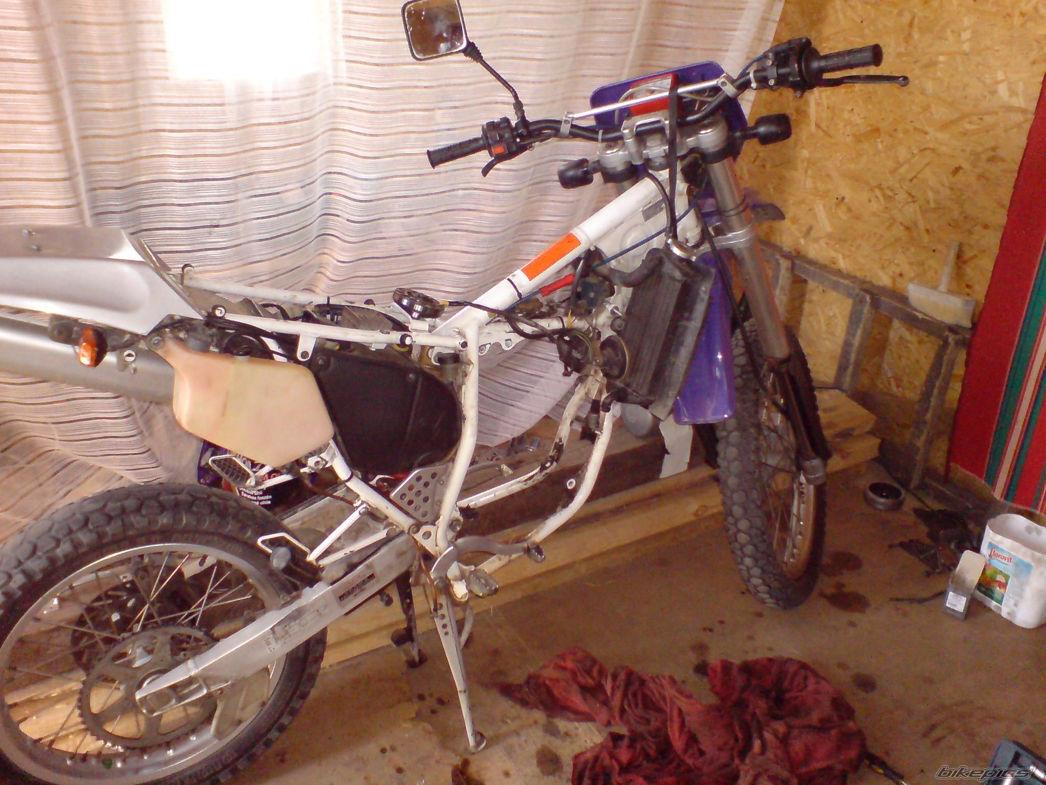 Photo 1954929