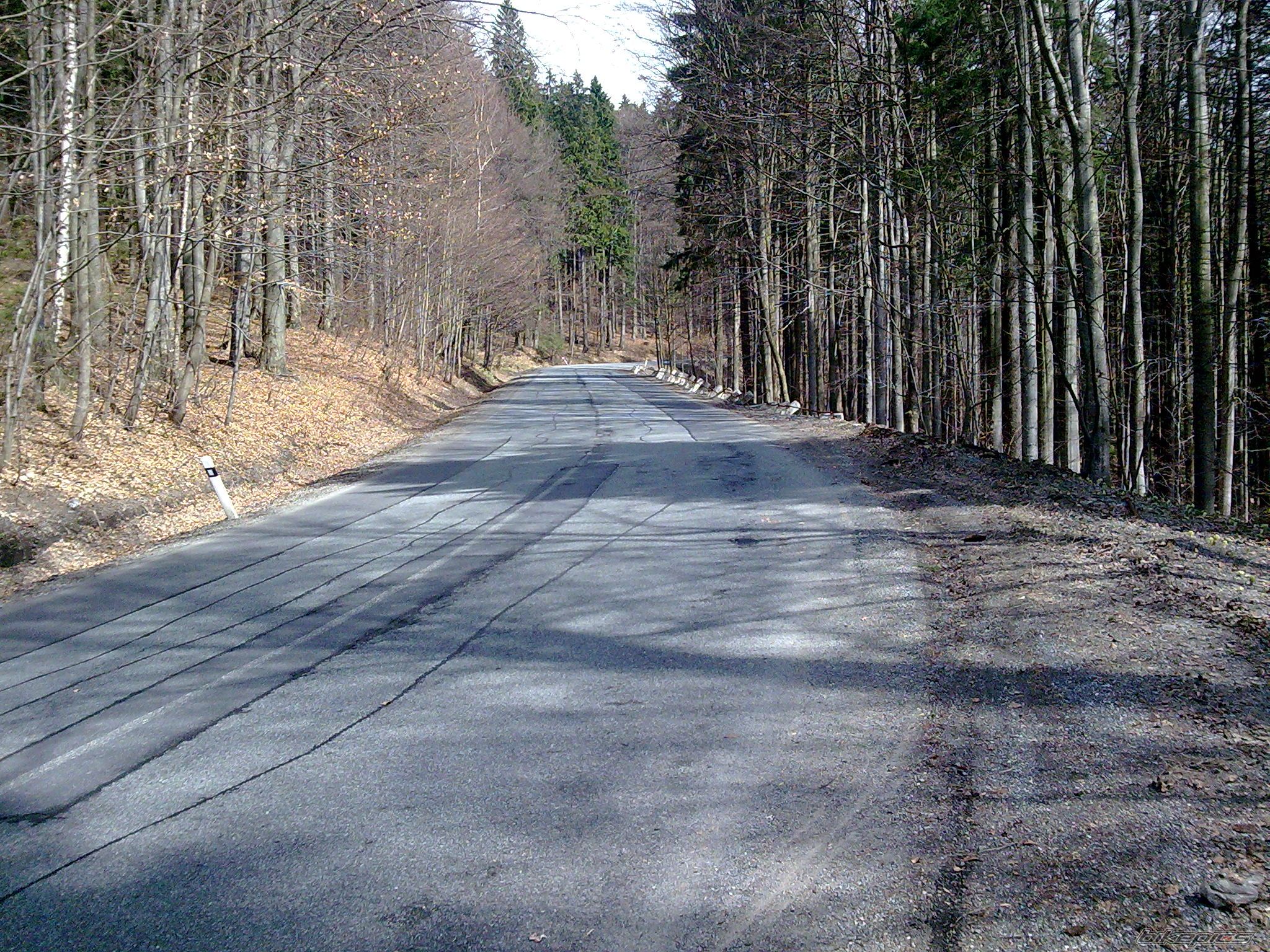 Photo 1954939