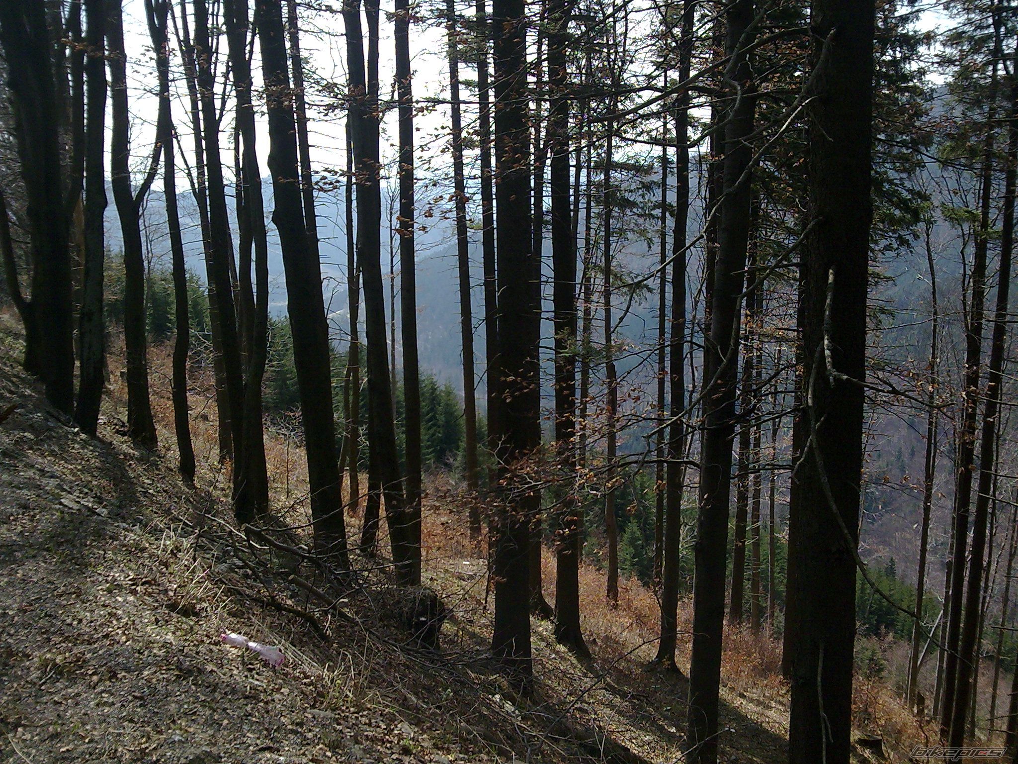 Photo 1954940