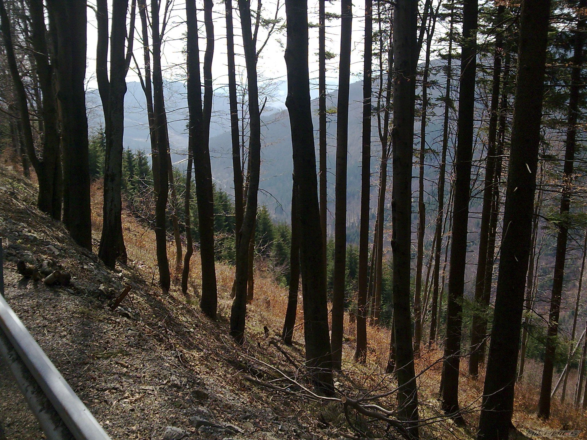 Photo 1954942