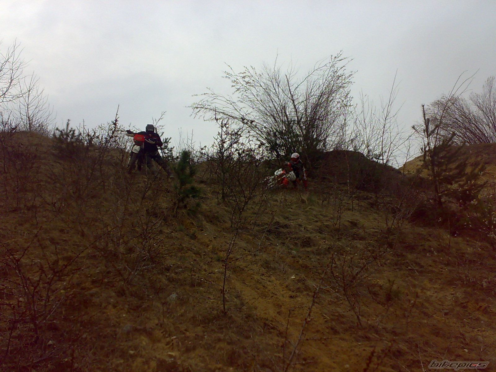 Photo 1954953