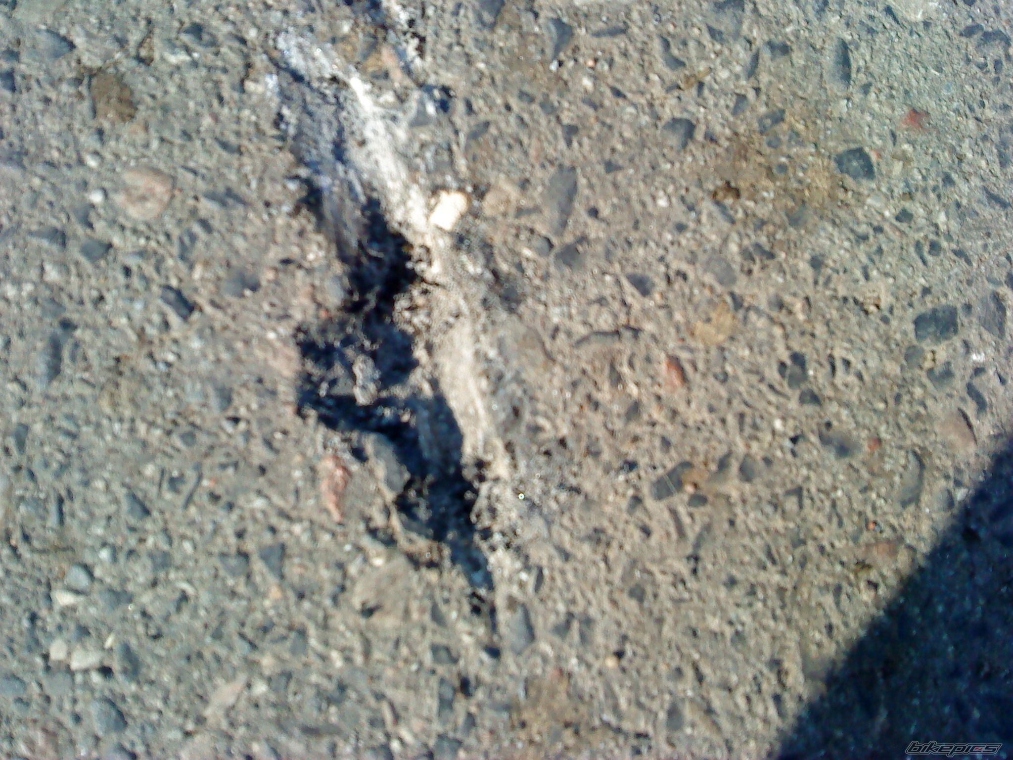 Photo 1954991