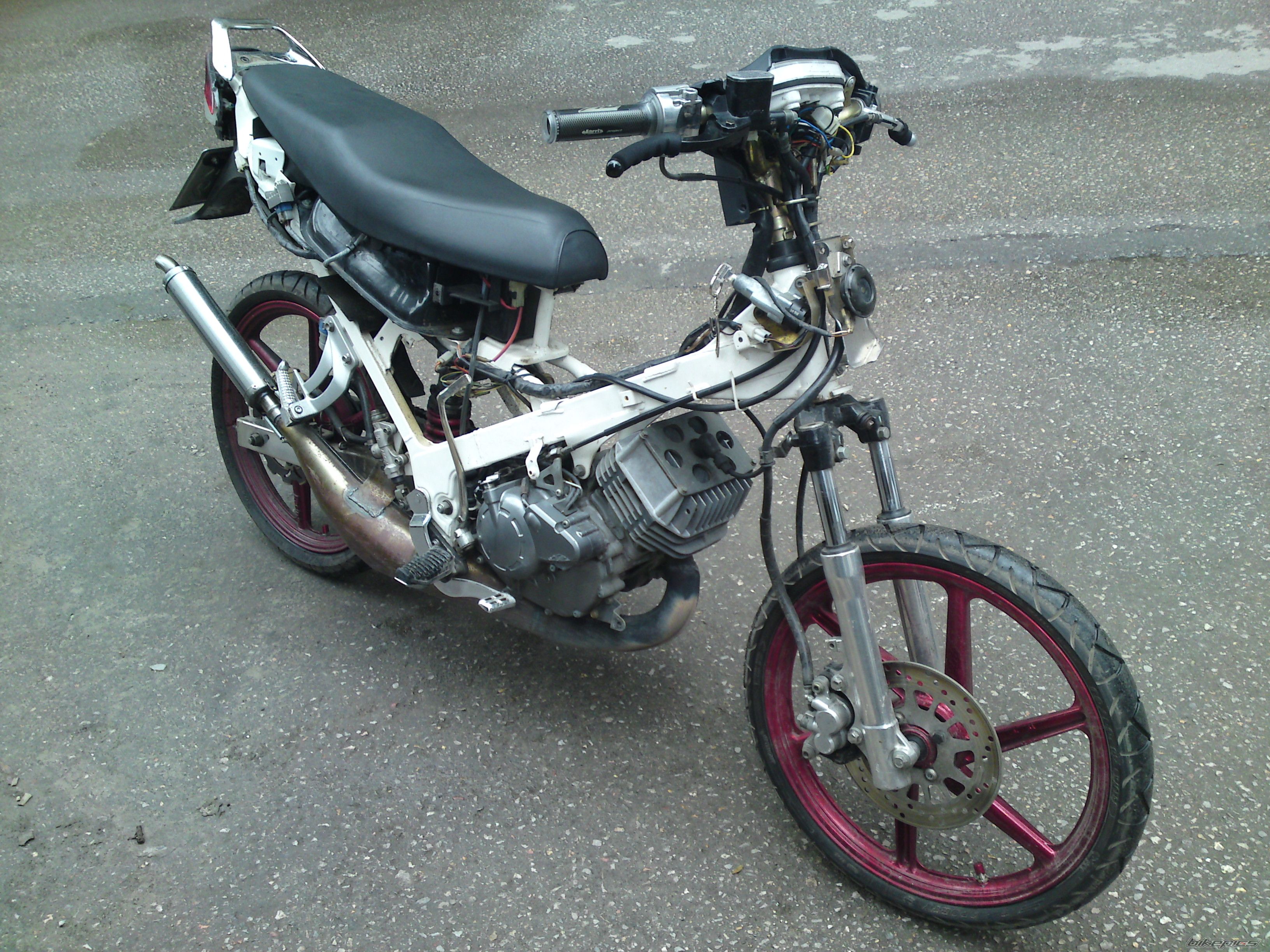 Photo 1955017