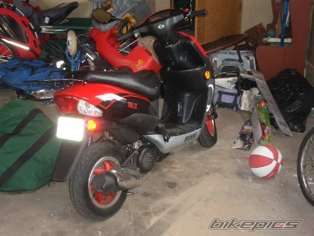 Photo 195519