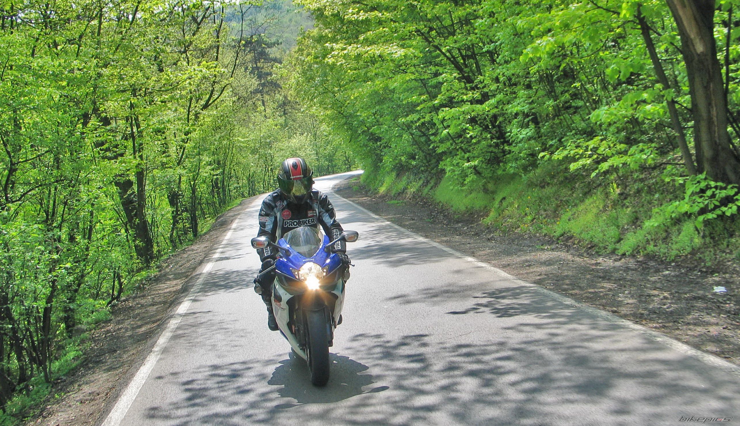 Bike Photo 1955223