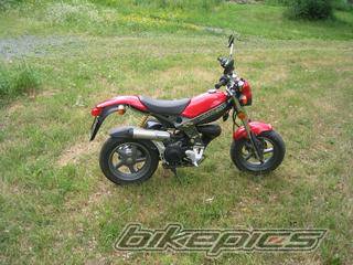 Photo 195544