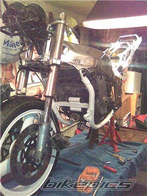 Photo 1955548