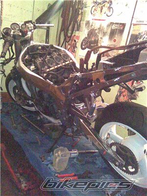 Photo 1955549