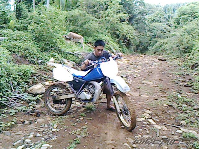 Photo 1955686