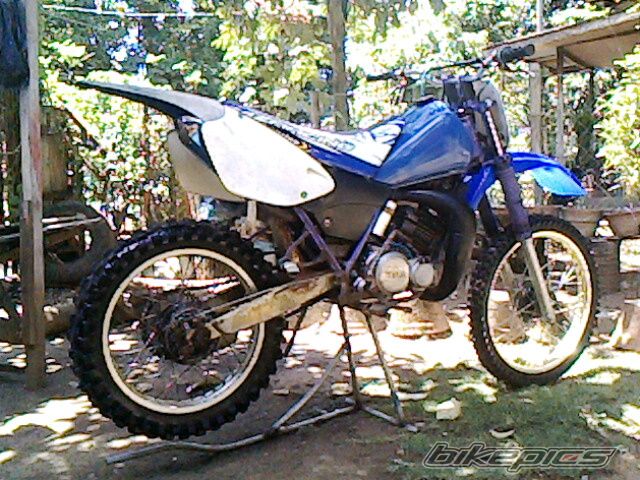 Photo 1955689
