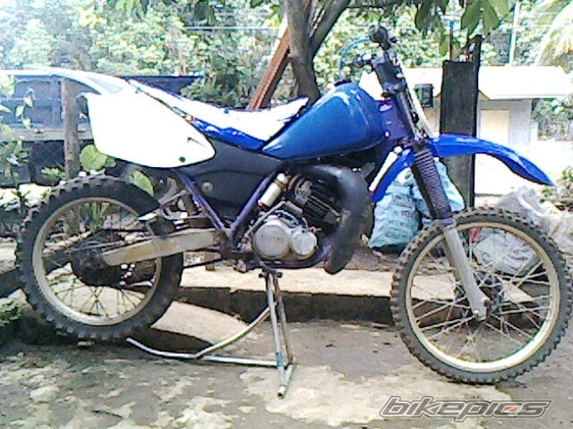 Photo 1955695