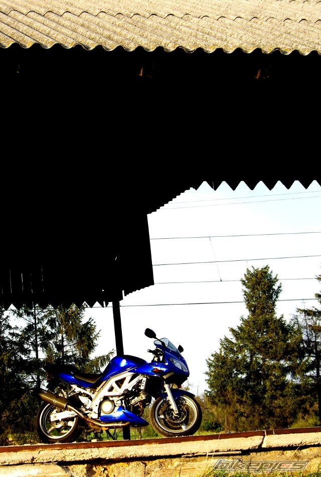 Bike Photo 1955956