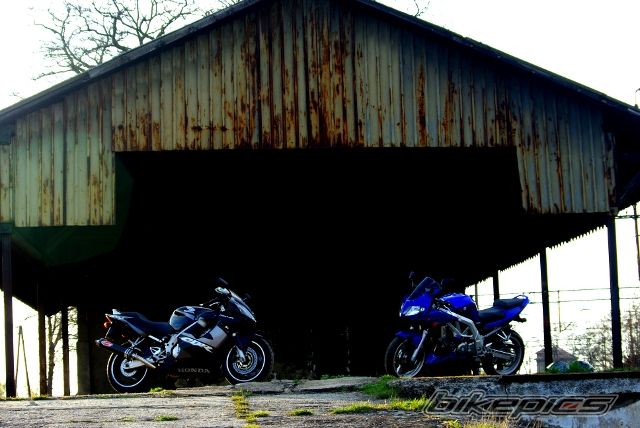 Bike Photo 1955961