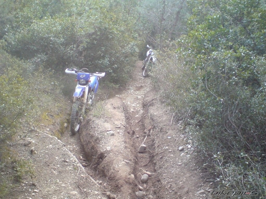 Bike Photo 1956337