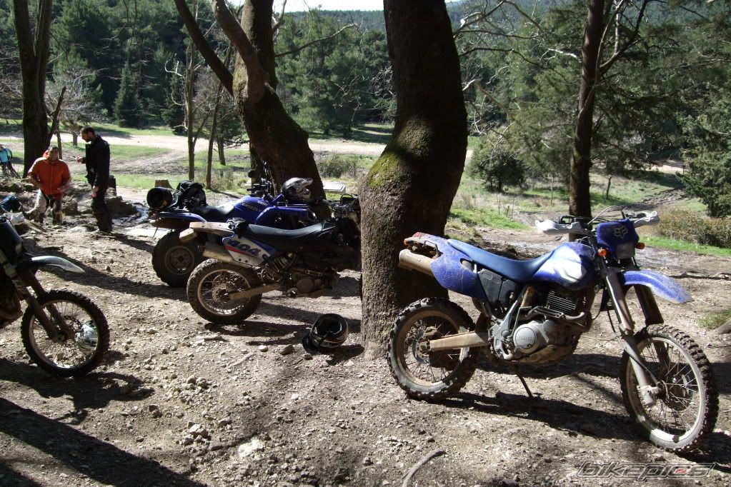 Bike Photo 1956340