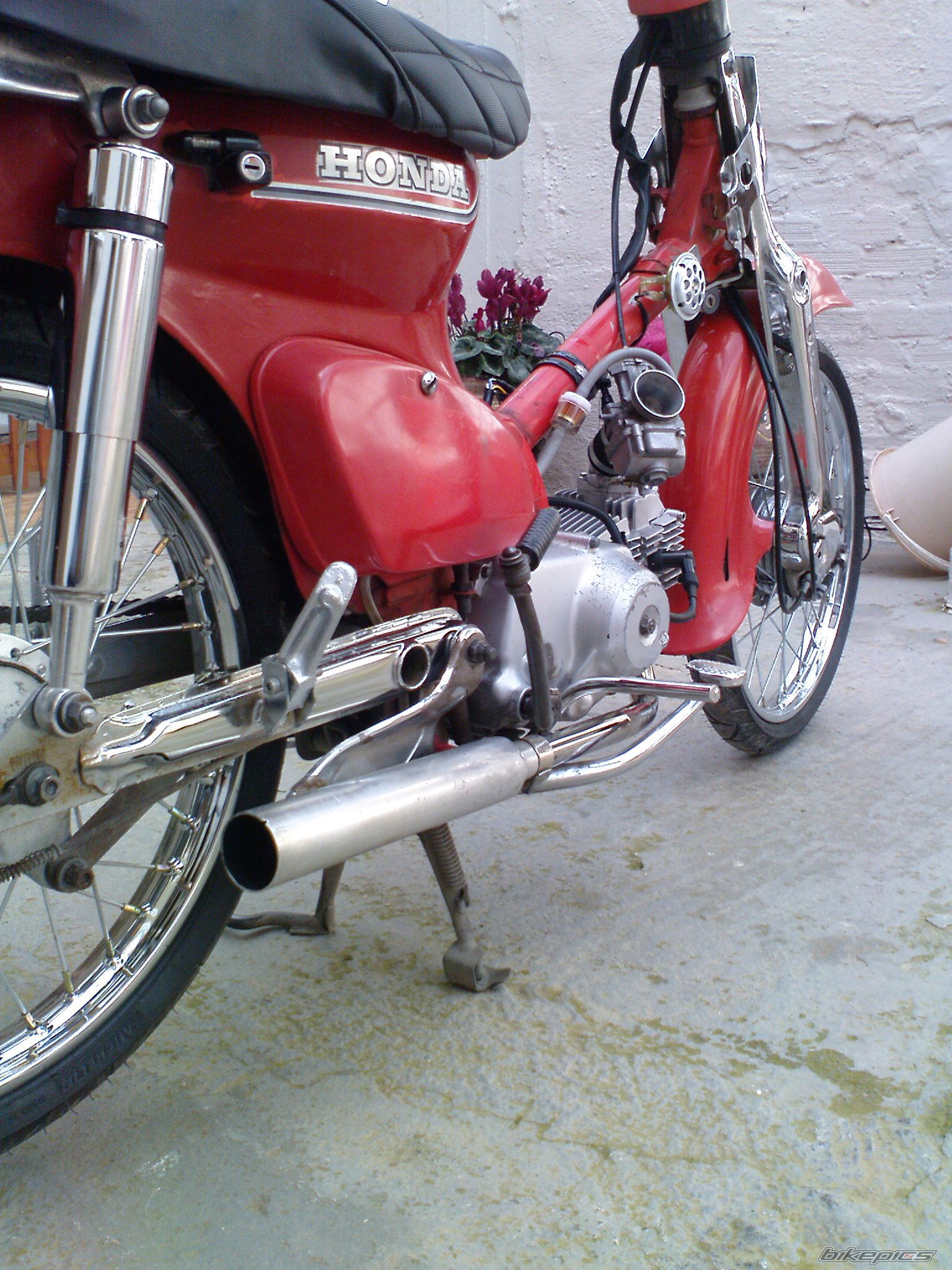 Photo 1956496