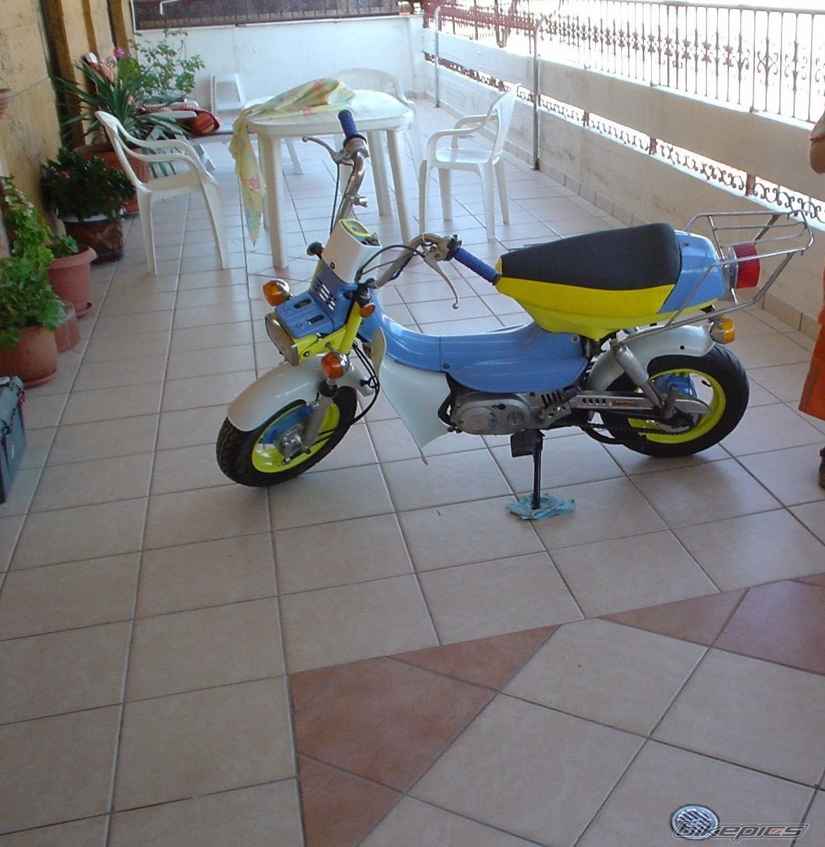 Photo 1956530