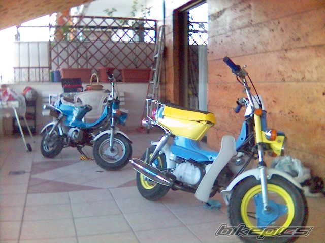 Photo 1956535