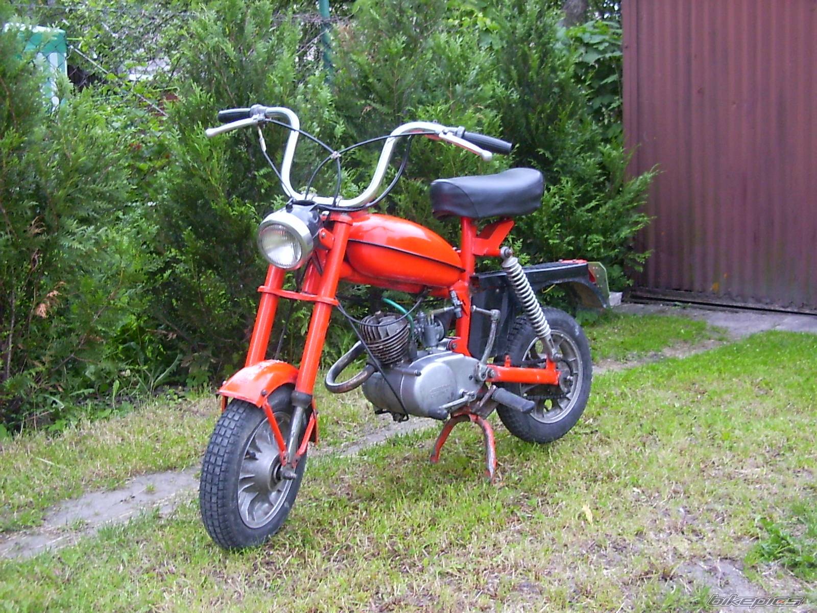 Photo 195657