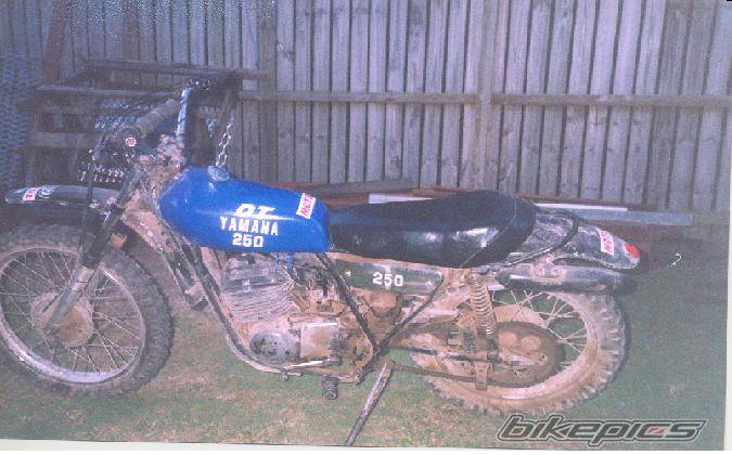 Photo 195660