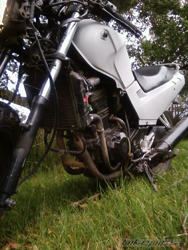 Photo 1956759