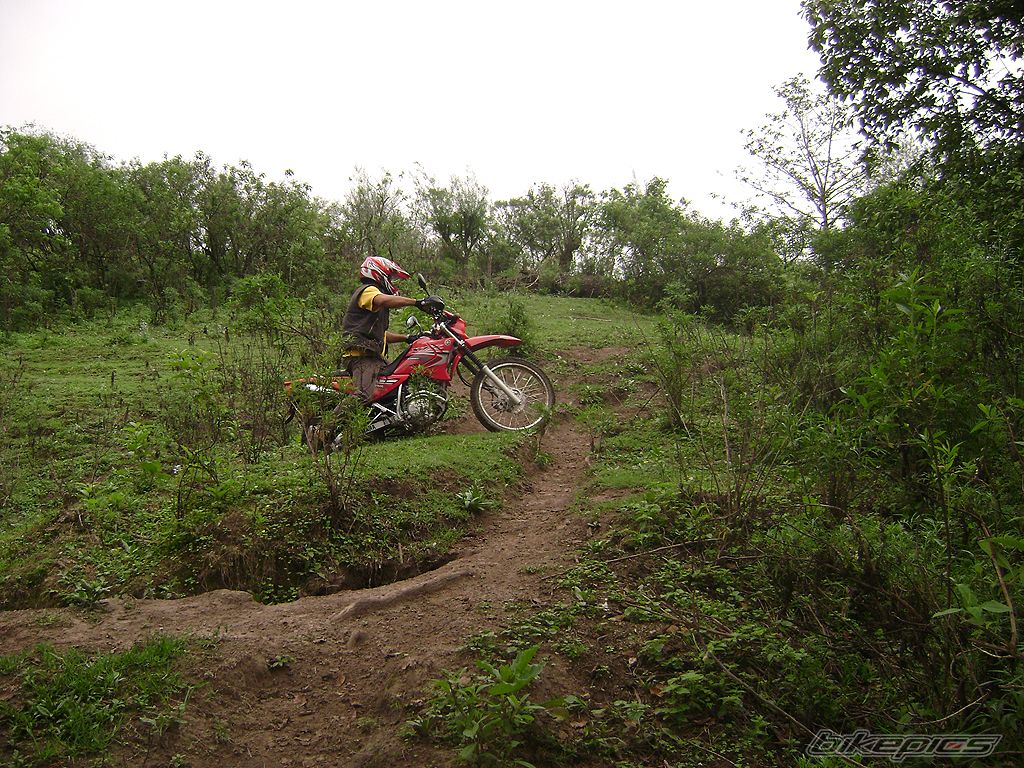 Photo 1956815