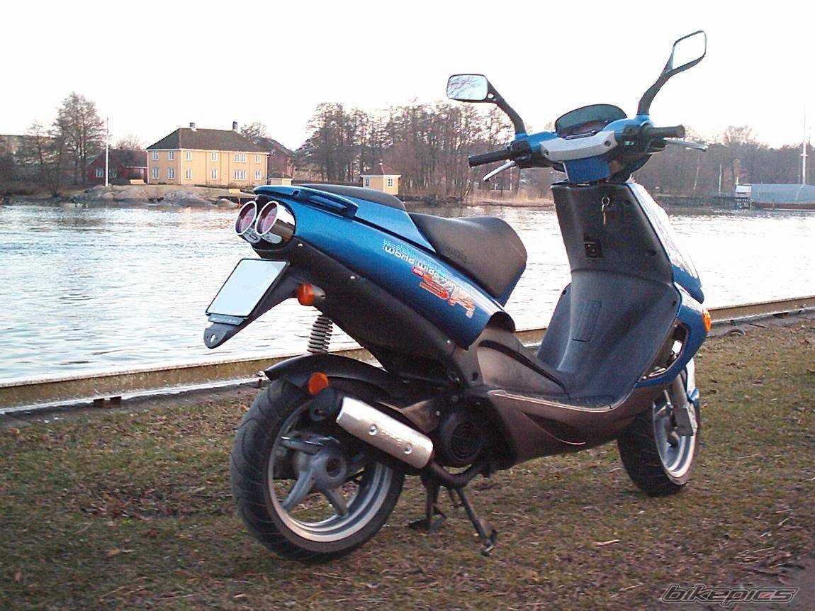 Photo 195699