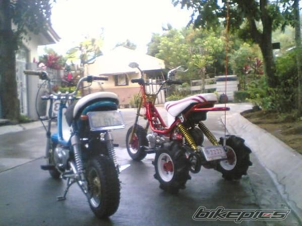 Photo 1957095