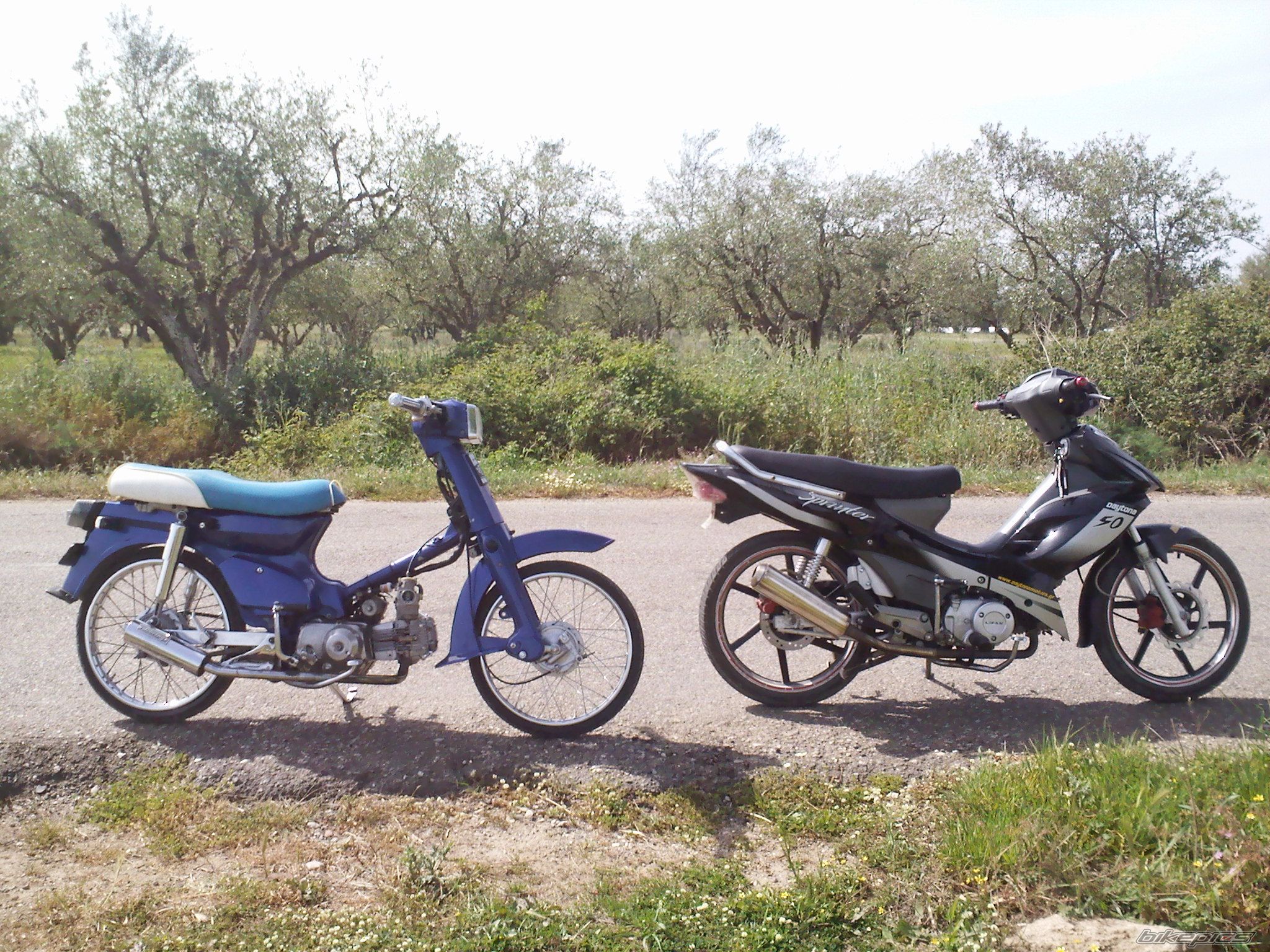 Photo 1957268