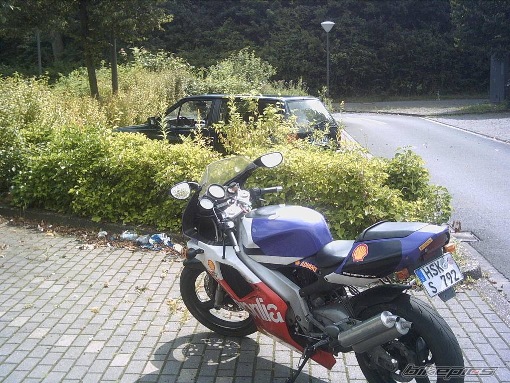 Photo 195737