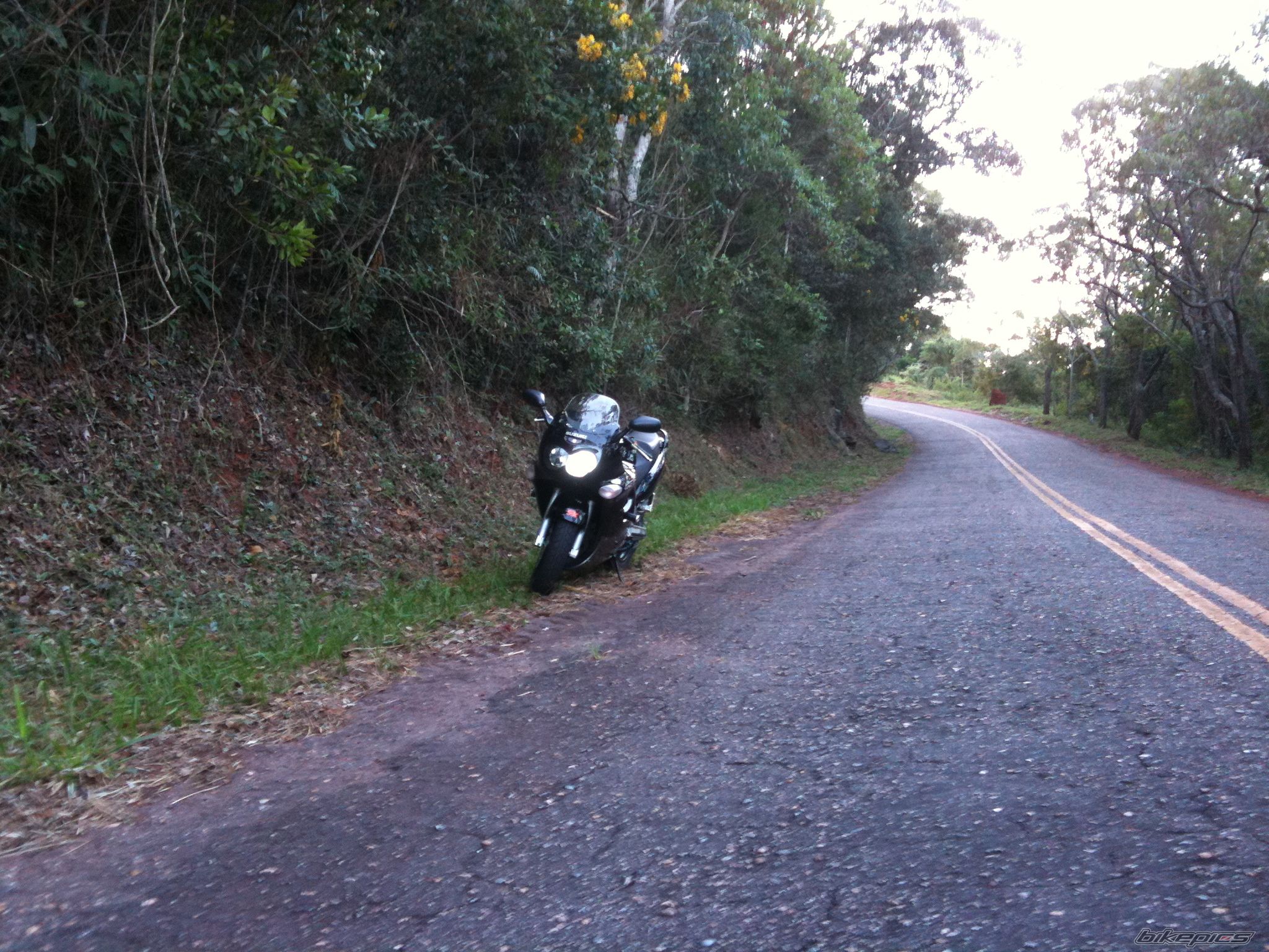 Photo 1957419