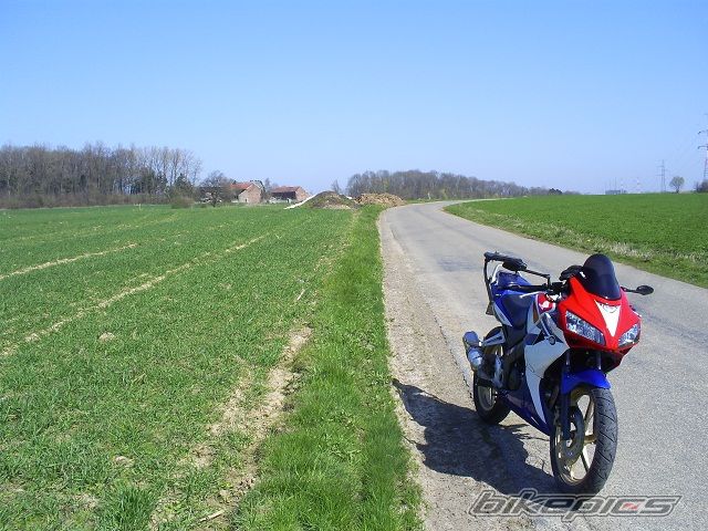 Photo 1957445