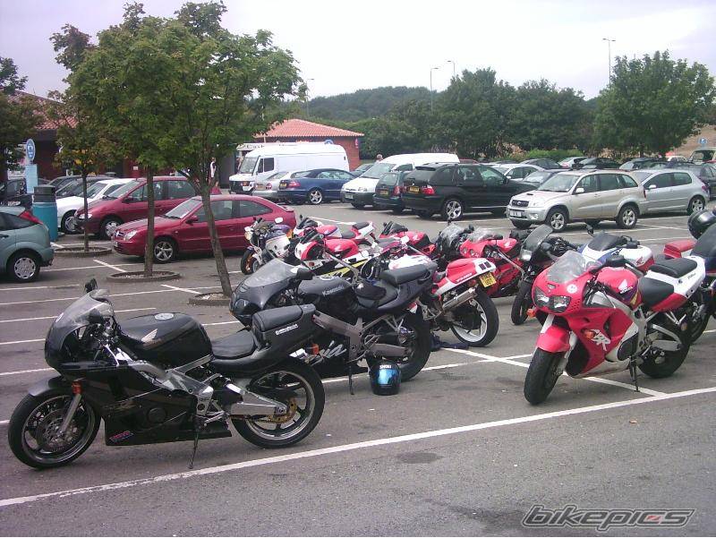 Photo 195770