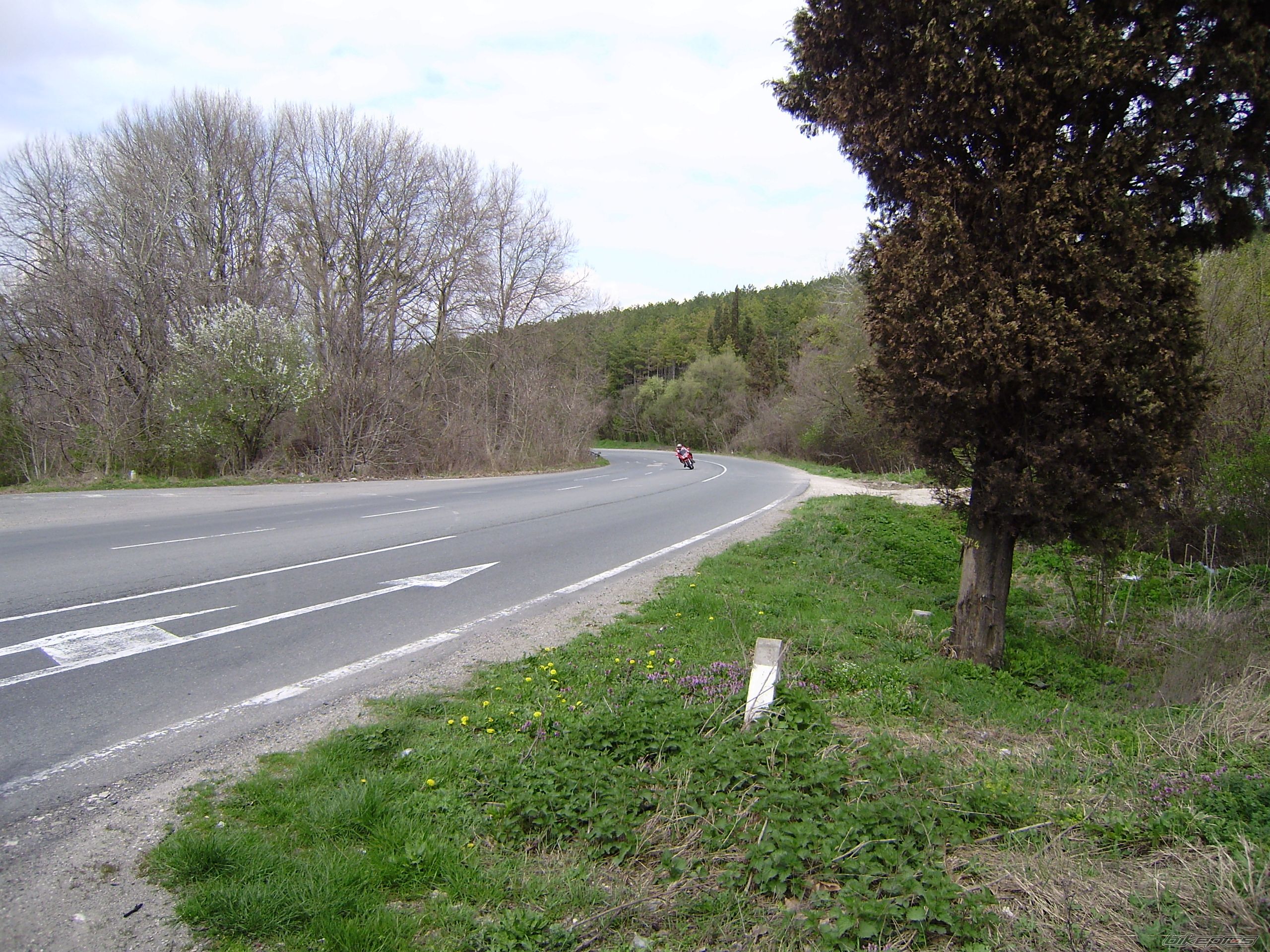 Bike Photo 1958000