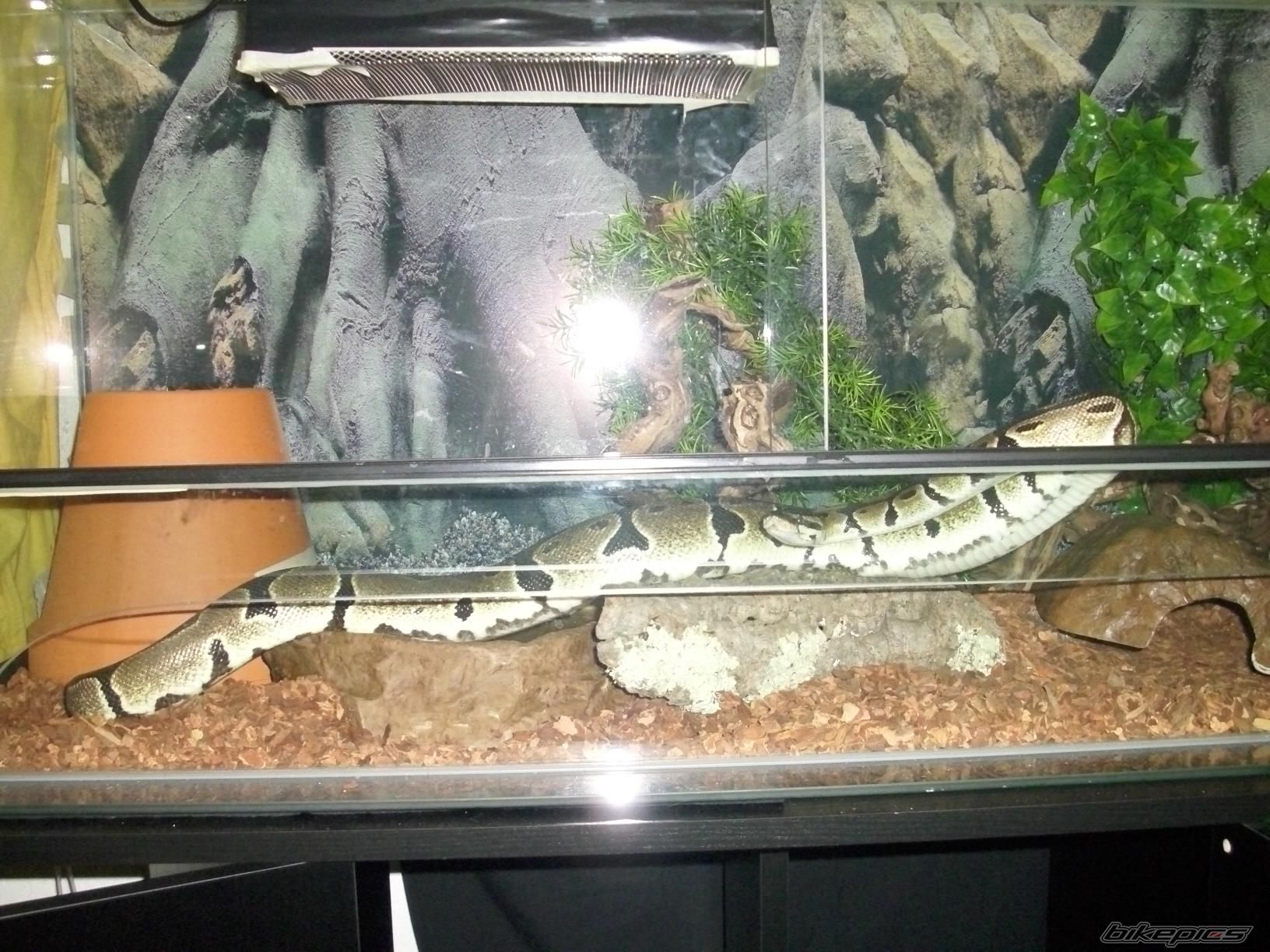 Photo 1958032