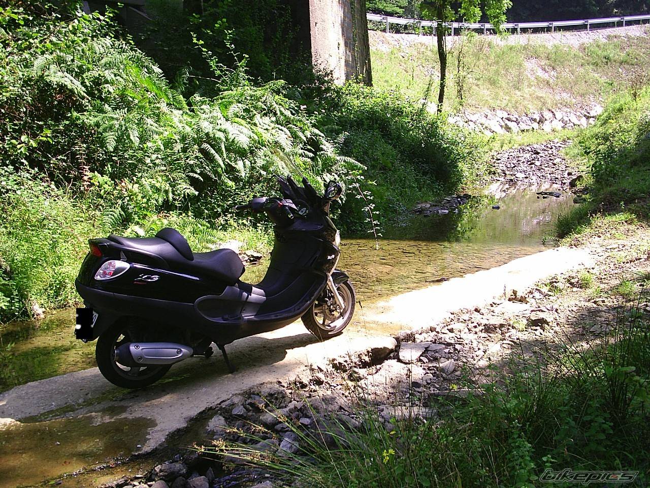 Photo 195804