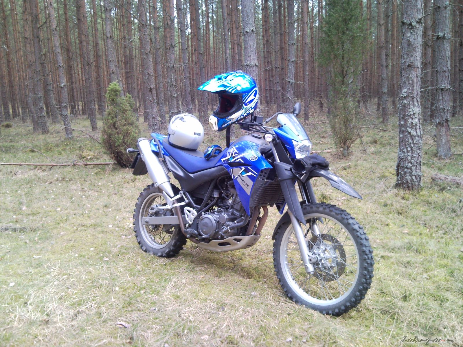 Bike Photo 1958100