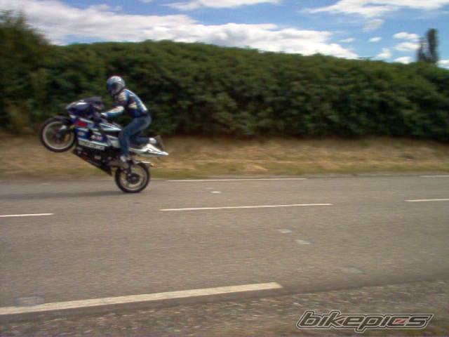 Photo 195813